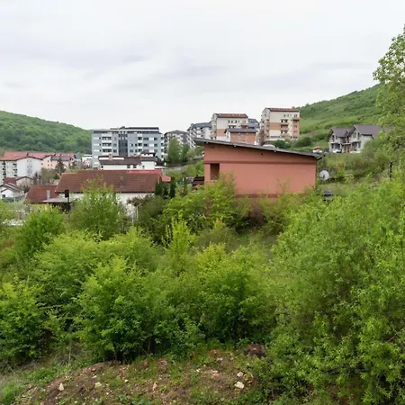 Andrew * Cluj-Napoca